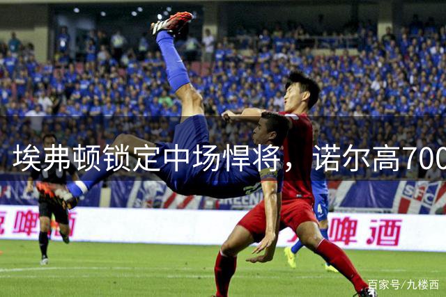 埃弗顿锁定中场悍将，诺尔高700万转会费加盟显雄心